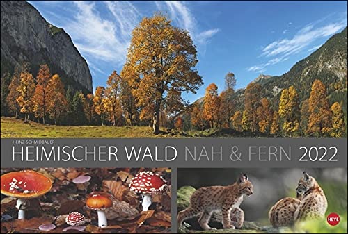brand-name Heimischer Wald nah und & fern - Kalender 2022 - Heye-Verlag - Heinz Schmidbauer - Wandkalender 58 cm x 39 cm von brand-name