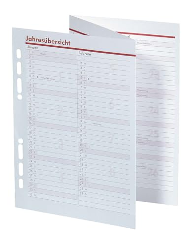 BSB Ersatzeinlage Jahresübersicht Leporello 2025-6-fach Lochung - ca. A5 - für Manager Terminplaner Organizer, 02-0570 von bsb