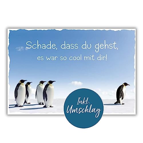 bsb Abschiedskarte - Karte zum Abschied in 11,5 x 17,0 cm - schöne Karte Abschied Kollegin & Kollege mit Pinguin-Motiv - liebevolle Karte zum Ruhestand - Abschiedsgeschenk Kollegen Rente von bsb