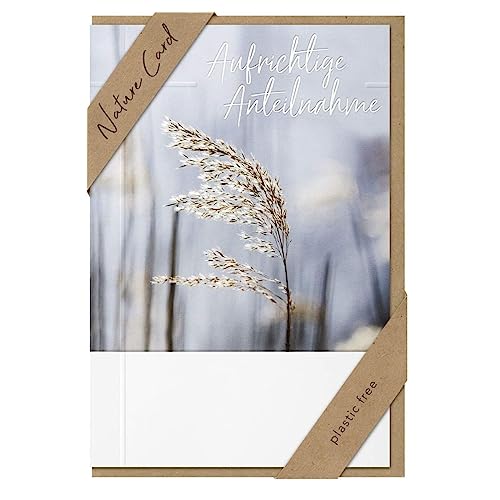 bsb - Trauerkarte mit liebevollem Motiv - Nature Card - Nachhaltige Trauerkarten - Beileidskarten mit Umschlag - Danksagungskarten Trauer - Karten zur Trauer 11,5 x 17 cm - Ähren Motiv bsb - Trauerkarte mit liebevollem Motiv - Nature Card - Nachhaltige Trauerkarten - Beileidskarten mit Umschlag - Danksagungskarten Trauer - Karten zur Trauer 11,5 x 17 cm - Ähren Motiv von bsb