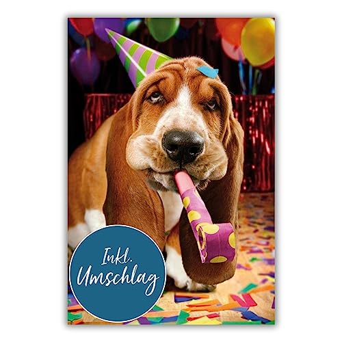 bsb - lustige Karte zum Geburtstag 11,5 x 17,0 cm - hochwertige Geburtstagskarte mit Umschlag - schöne Geburtstagskarten für Kinder/Frauen & Männer - Glückwunschkarte mit Hunde-Motiv von bsb