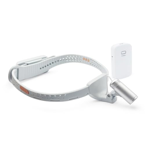3W Chirurgischer Stirnband-Scheinwerfer, verstellbarer Spot-Scheinwerfer, 3W-Scheinwerfer, tragbare LED-Stirnlampe für die medizinische Zahnheilkunde von Haustieren, HNO 3W Chirurgischer Stirnband-Scheinwerfer, verstellbarer Spot-Scheinwerfer, 3W-Scheinwerfer, tragbare LED-Stirnlampe für die medizinische Zahnheilkunde von Haustieren, HNO von buyzg
