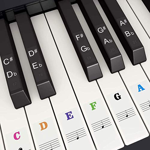 Klavier Aufkleber,Keyboard Aufkleber Transparent und Abnehmbar PVC Keyboard Noten Aufkleber für 37 49 54 61 88 von byou