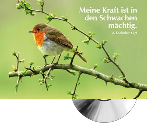 Meine Kraft ist in den Schwachen mächtig (Jahreslosung 2012) CD-Card (Motiv Vogel) von cap-music