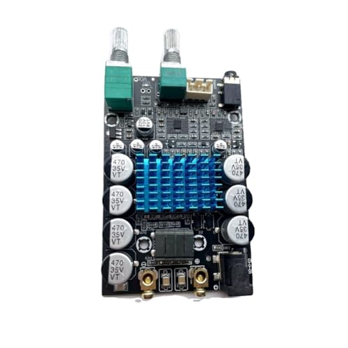 casstaly TPA3116 Subwoofer-Verstärkerplatine Audio-Board Mono-Endstufe Klangverstärker 100W-Verstärkerplatine DC9-24V, Feine Verarbeitung von casstaly