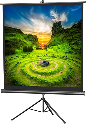 120" Zoll Stativ-Leinwand celexon Economy 1:1 | 219x219cm schwarz | 4K Full HD 3D | mobil, transportabel; für Heim-Kinos oder Büro-Präsentationen mit Beamer-Projektoren | mit Tragegriff und Stativfuß von celexon