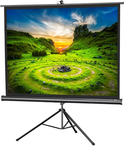 120" Zoll Stativ-Leinwand celexon Economy 4:3 | 244x183cm schwarz | 4K Full HD 3D | mobil, transportabel; für Heim-Kinos oder Büro-Präsentationen mit Beamer-Projektoren | mit Tragegriff und Stativfuß von celexon