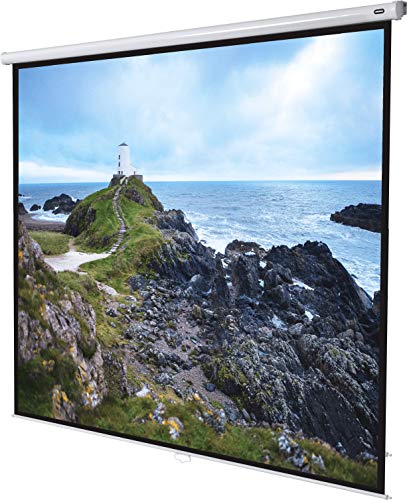 135" Zoll Rollo-Leinwand celexon Economy 1:1 | 240x240cm | 4K Full HD 3D | ausziehbare Leinwand für Heim-Kinos & Büro-Präsentationen mit Beamer-Projektoren | Decken- & Wand-Montage oder zum Aufhängen von celexon