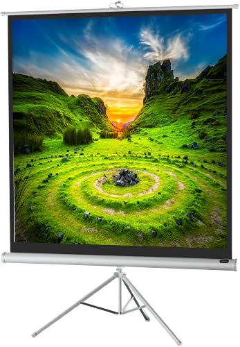 140" Zoll Stativ-Leinwand celexon Economy 1:1 | 244x244cm weiß | 4K Full HD 3D | mobil, transportabel; für Heim-Kinos oder Büro-Präsentationen mit Beamer-Projektoren | mit Tragegriff und Stativfuß von celexon