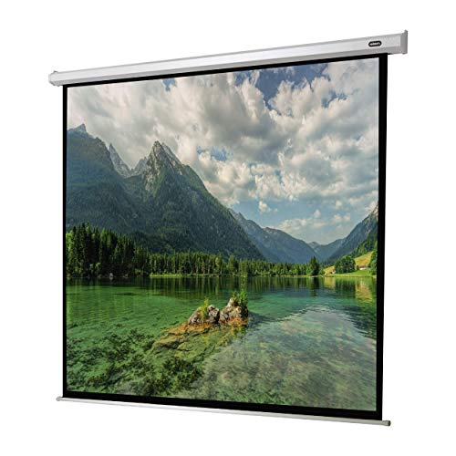 160" Zoll Motor-Leinwand celexon Economy 1:1 | 280x280cm | 4K Full HD 3D | elektrisch, mit Fernbedienung; für Heim-Kinos oder Büro-Präsentationen mit Beamer-Projektoren | zur Decken-/ Wand-Montage von celexon