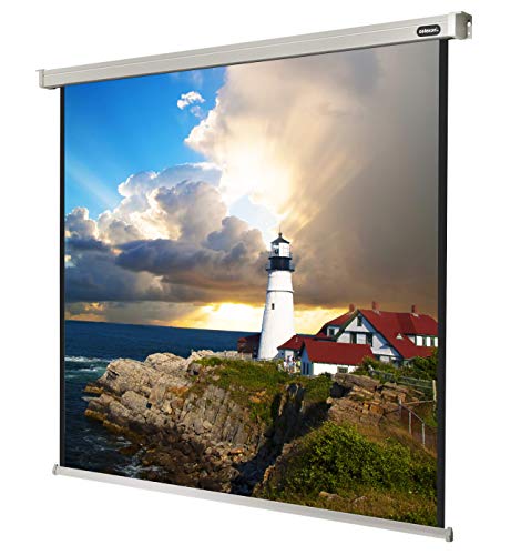 160" Zoll Motor-Leinwand celexon Pro 1:1 | 300x300 cm weiß | 4K Full HD 3D | elektrisch, mit Fernbedienung; für Heim-Kinos & Büro-Präsentationen mit Beamer-Projektoren | zur Decken-/ Wand-Montage von celexon