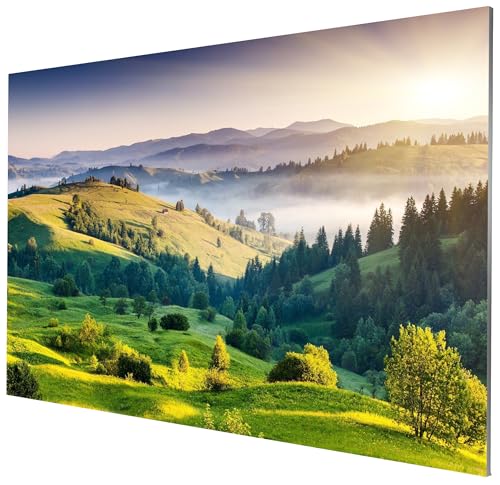 celexon Flache und dezente Heimkino- und Business-Beamer-Rahmen-Leinwand mit unsichtbarem Aluminium-Rahmen Expert PureWhite - 300x169cm - 16:9-135" Zoll von celexon