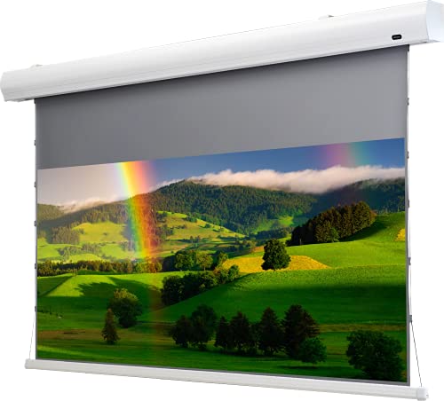 celexon HomeCinema Motorleinwand Tension 199 x 112 cm, 90 - Dynamic Slate ALR von celexon