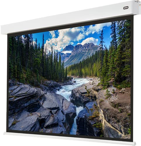 celexon akkubetriebene Motorleinwand Batterie Pro - elektrische Heimkino- und Business-Leinwand inkl Akku - No Plug just Play Leinwand - 240 x 180 cm - 120" Zoll von celexon