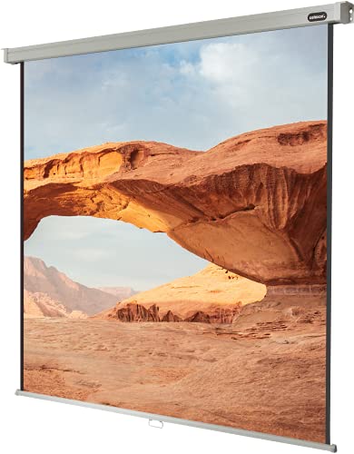 celexon manuell ausziehbare Heimkino- und Business-Beamer-Leinwand 4K und Full-HD Rollo-Leinwand Professional - 200 x 200 cm - 1:1 - Gain 1,2-110" Zoll von celexon