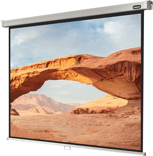 celexon manuell ausziehbare Heimkino- und Business-Beamer-Leinwand 4K und Full-HD Rollo-Leinwand Professional - 220 x 165 cm - 4:3 - Gain 1,2-105" Zoll von celexon