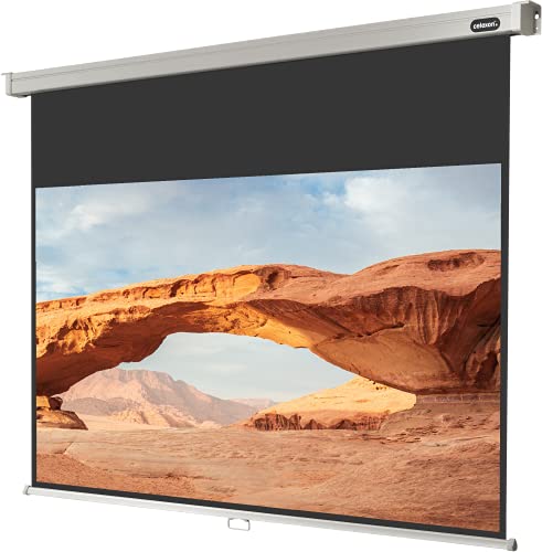 celexon manuell ausziehbare Heimkino- und Business-Beamer-Leinwand 4K und Full-HD Rollo-Leinwand Professional - 220x124 cm - 16:9 - Gain 1,2-95" Zoll von celexon