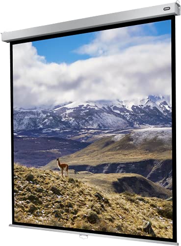 celexon manuell ausziehbare Heimkino- und Business-Rollo-Beamer-Leinwand 4K und Full-HD mit Slow-Return Professional Plus - 120 x 120 cm - 1:1-65" Zoll von celexon