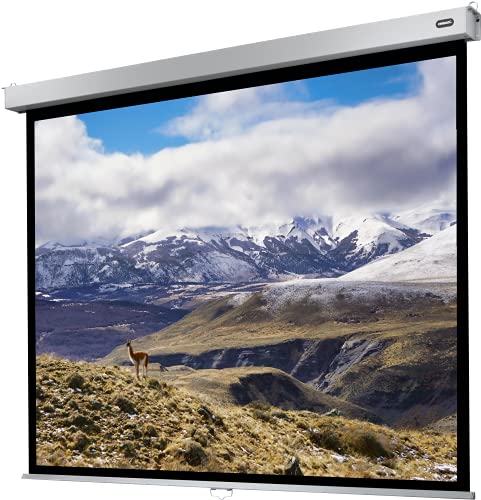 celexon manuell ausziehbare Heimkino- und Business-Rollo-Beamer-Leinwand 4K und Full-HD mit Slow-Return Professional Plus - 160 x 120 cm - 4:3-80" Zoll von celexon