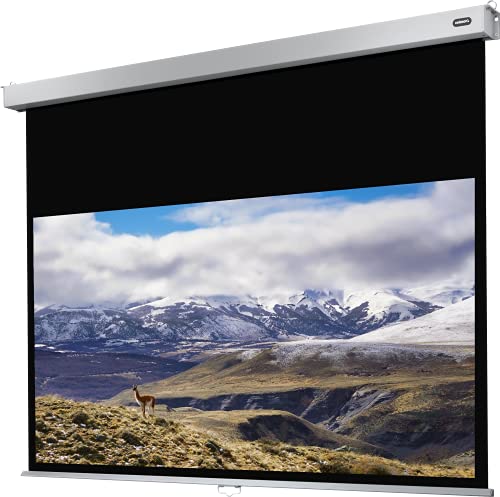 celexon manuell ausziehbare Heimkino- und Business-Rollo-Beamer-Leinwand 4K und Full-HD mit Slow-Return Professional Plus - 300 x 169 cm - 16:9-135" Zoll von celexon