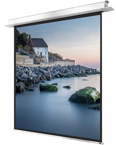 celexon motorisierte Heimkino- und Business-Beamer-Leinwand mit Diffuser Oberfläche Deckeneinbau Motor Professional Plus bis 4K - 180 x 180 cm - 1:1-100" Zoll von celexon