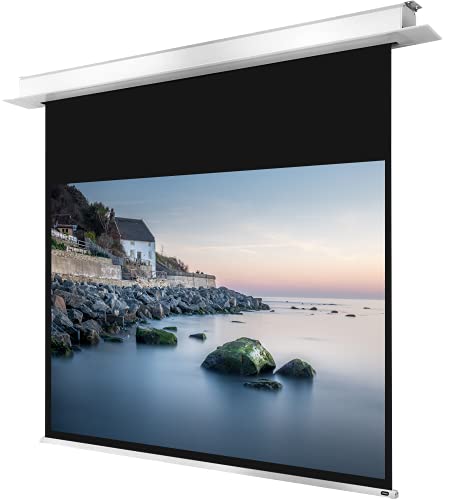 celexon motorisierte Heimkino- und Business-Beamer-Leinwand mit Diffuser Oberfläche Deckeneinbau Motor Professional Plus bis 4K - 280 x 210 cm - 4:3-140" Zoll von celexon