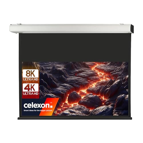 celexon motorisierte Heimkino- und Präsentations-Beamer-Leinwand Wand-oder Deckenmontage elektrische Leinwand Motor Expert XL - 350 x 219 cm - 16:10-165" Zoll von celexon