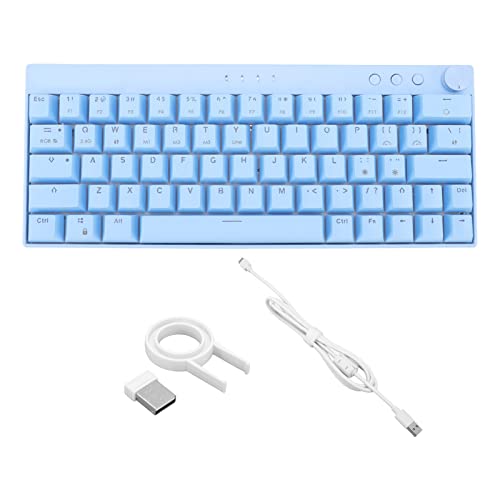 Kabellose Mechanische Gaming-Tastatur, Blau 64 Tasten Plus Kabellose RGB-Hintergrundbeleuchtung Mechanische Tastatur 3 Modi 2.4G/BT 3.0, 5.0/Type C Kabelgebundene Gaming-Tastatur mit(Roter Schalter) von ciciglow