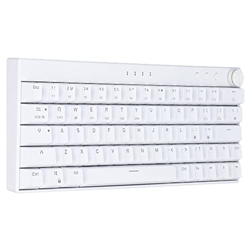 Kabellose RGB Mechanische Tastatur, Kabellos 2.4G/BT 3.0, 5.0/Typ C 3 Modi 64 Tasten Plus Kein Nummernblock Kompakte Gaming-Tastatur Weiße Kabelgebundene Tastatur mit Knob(Linearer Aktionsschalter) von ciciglow