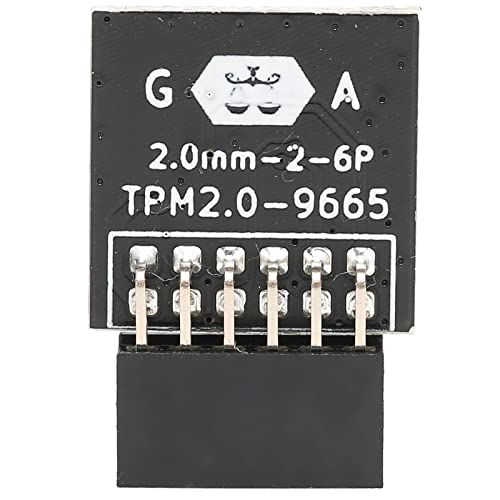 TPM 2.0-Verschlüsselungssicherheitsmodul, LPC 12PIN-Modul für Elektronische Komponenten für Computer für von ciciglow