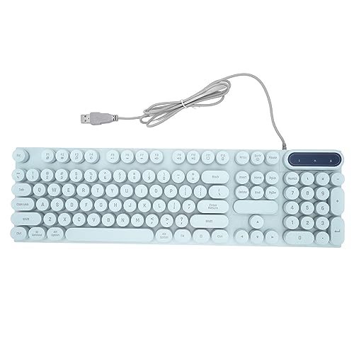 ciciglow 104 Tasten Gaming-Tastatur, Kabelgebundene Kompakte PC-Tastatur, Multimedia-Tasten, Ergonomische Tastatur für Desktop-Laptop (Blue) von ciciglow