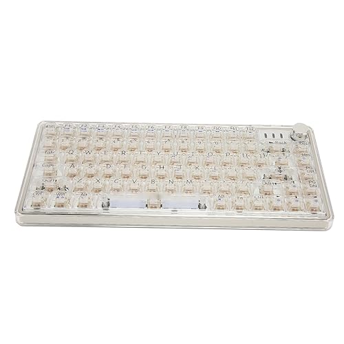ciciglow Hot-Swap-fähige Mechanische Tastatur, RGB-Beleuchtung, Multifunktionsknopf, Kratzfest, ASA-Kontur, Transparent, PBT-Tastenkappen, 61 Tasten von ciciglow