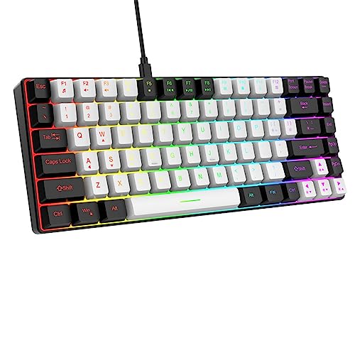 ciciglow Kabelgebundene Gaming-Tastatur, 84 Tasten, RGB-Hintergrundbeleuchtung, Typ C, Leise Mechanische Tastatur mit Multimedia-Tasten für Desktop, Computer, PC (Weiss) von ciciglow