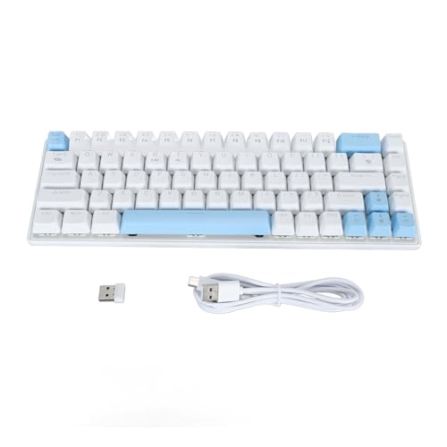 ciciglow Mechanische Gaming-Tastatur, BT5.0/2,4 G/USB C Computer-Tastatur, Blaue Schalter, RGB-Hintergrundbeleuchtung, Kompakte 61-Tasten, Kabellose Bürotastatur für Smartphone, von ciciglow