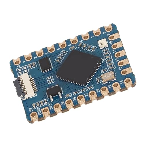 ciciglow RP2040 Winziges Entwicklungsboard mit Dual-Prozessor, 20 GPIO-Pins, Ruhemodus, Separates Design, für RasPi-Entwicklungsboard von ciciglow