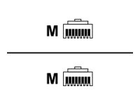 SYSTIMAX GigaSPEED XL GS8H - Patchkabel - RJ-45 (Stecker) auf RJ-45 (Stecker) - 3,05 m - UTP - CAT 6 - knotenlos, verseilt - weiß von commscope