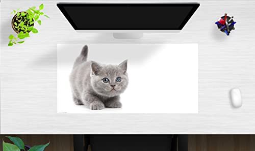 Schreibtischunterlage – Süße graue Katze – 80 x 40 cm – Schreibunterlage für Kinder aus Premium Vinyl – Made in Germany von coveryourdesk www.cover-your-desk.de