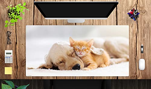 Schreibtischunterlage XXL mit integriertem Mousepad – “Freundschaft zwischen Katze und Hund“ – aus strapazierfähigem Vinyl – 100 x 50 – Rutschfeste Schreibunterlage für besten Schutz – Made in Germany von coveryourdesk www.cover-your-desk.de