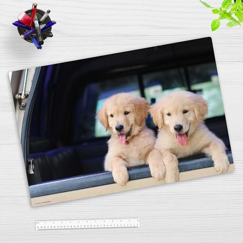 Schreibtischunterlage für Kinder und Erwachsene – “Golden Retriever Hundewelpen“ – aus erstklassigem Vinyl (Kunststoff) – 60 x 40 cm – Rutschfeste Schreibunterlage mit bestem Schutz – Made in Germany von coveryourdesk www.cover-your-desk.de