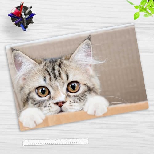 Schreibtischunterlage für Kinder und Erwachsene – “Maine Coon Kätzchen“ – aus erstklassigem Vinyl (Kunststoff) – 60 x 40 cm – Rutschfeste Schreibunterlage mit bestem Schutz – Made in Germany von coveryourdesk www.cover-your-desk.de