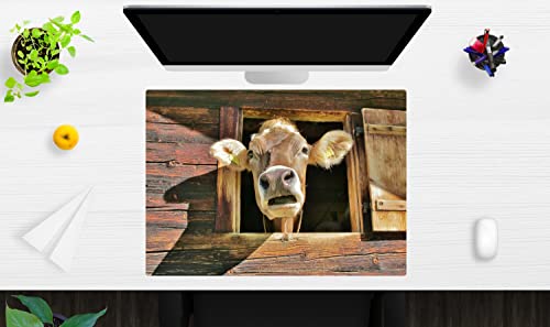 Schreibtischunterlage für Kinder und Erwachsene – “Neugierige Kuh" – aus erstklassigem, strapazierfähigem Vinyl (Kunststoff -BPA frei) – 70 x 50 cm – Made in Germany von coveryourdesk www.cover-your-desk.de