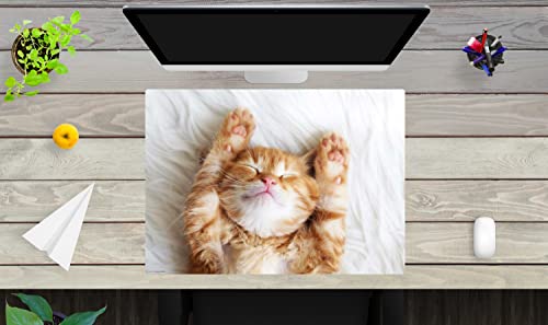 Schreibtischunterlage für Kinder und Erwachsene – “Süßes Katzenbaby beim schlafen" – aus erstklassigem, strapazierfähigem Vinyl (Kunststoff -BPA frei) – 70 x 50 cm – Made in Germany von coveryourdesk www.cover-your-desk.de