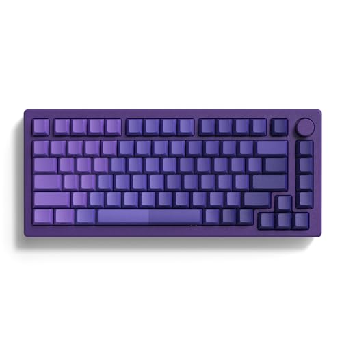 dagaladoo Benutzerdefinierte Tastenkappen, PBT-Tastenkappen, durchscheinend, 75 %, doppelseitig bedrucktes Tastenkappen-Set, violette Farbverlauf, Kirsch-Profil für mechanische Gaming-Tastaturen (121 von dagaladoo