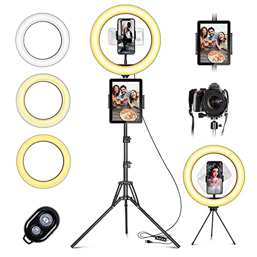 LED Ringlicht mit Stativ Handy, 10" Selfie Ringleuchte mit Fernbedienung und Doppel Handyhalter mit 3 Farbe&10 Helligkeitsstufen für YouTube TikTok Fotografie Live-Streaming [Tischstativ inklusive] von daphomeu