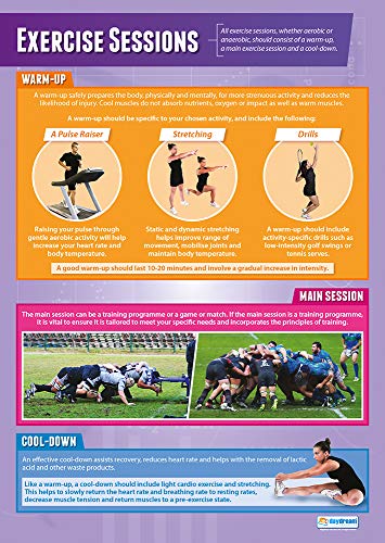 Daydream Education Lernposter „Exercise Sessions“ für den Sportunterricht, Hochglanzpapier, 850 x 594 mm (A1) – in englischer Sprache von daydream