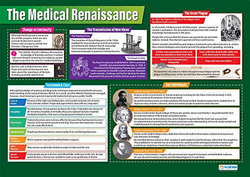 Daydream Education The Medical Renaissance, Geschichtsposter, laminiertes Glanzpapier, 850 mm x 594 mm (A1), Klassenzimmer-Poster, Bildungstabellen von daydream