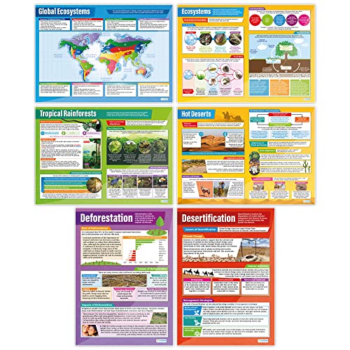 Ecosystems Poster – Set von 6 | Geographie-Poster | laminiertes Hochglanzpapier mit den Maßen 850 mm x 594 mm (A1) | Geografie-Poster | Bildungstabellen von Daydream Education von daydream
