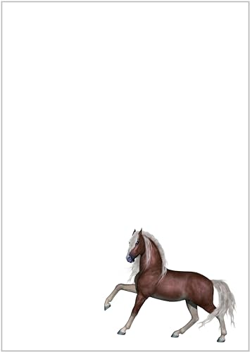 DIN A4 Briefpapier Pferde - Papier mit Pferd - 20 Blatt - Motiv Nr. 064 | 80g/m² von deLuxeTuning.de