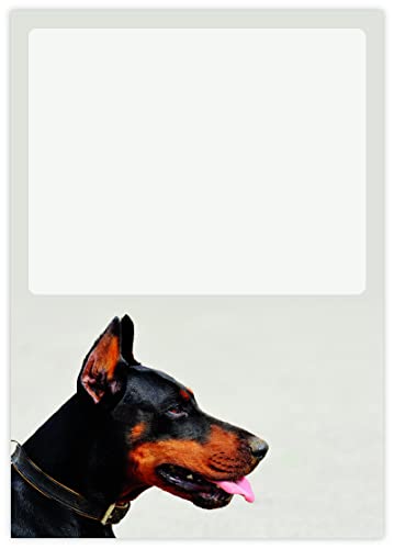 DIN A4 Hundemotive Briefpapier mit Hund - Papier Hunde - 20 Blatt - Motiv Nr. 026 | 80g/m² von deLuxeTuning.de