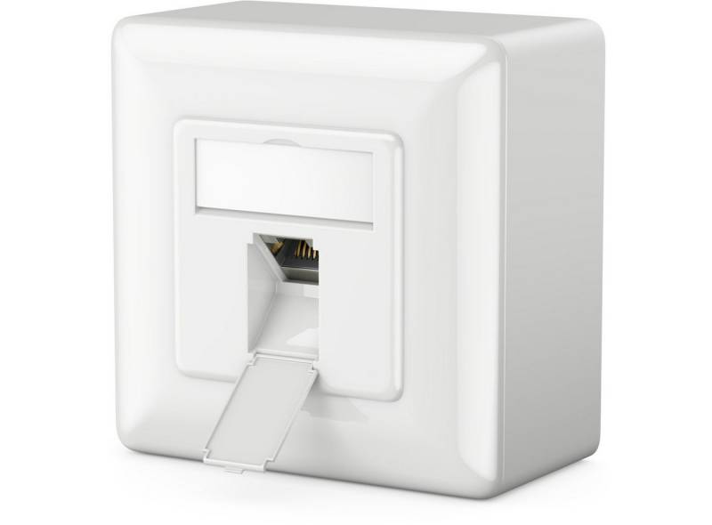 deleyCON deleyCON 1x CAT6a Netzwerkdose 1x RJ45 Port Geschirmt Aufputz Netzwerk-Adapter von deleyCON